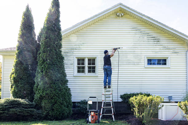 Best Sidewalk and Walkway Pressure Cleaning in Godfrey, IL